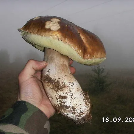 Horská chata Stara Horaren 2 *